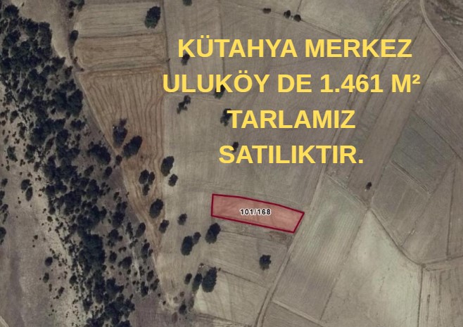  KÜTAHYA MERKEZ ULUKÖY DE 1.461 M² TARLAMIZ SATILIKTIR. - KÜTAHYA MERKEZ fotoğraf 5